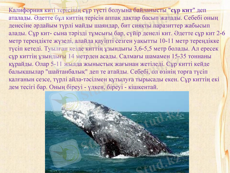 Slide 12