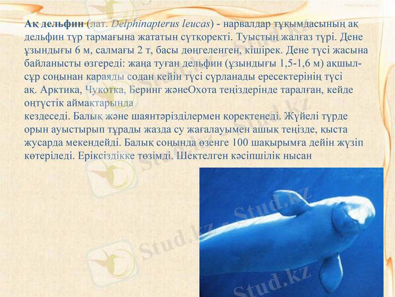 Slide 6