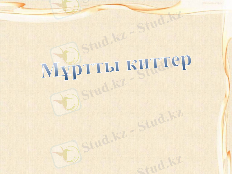 Slide 8