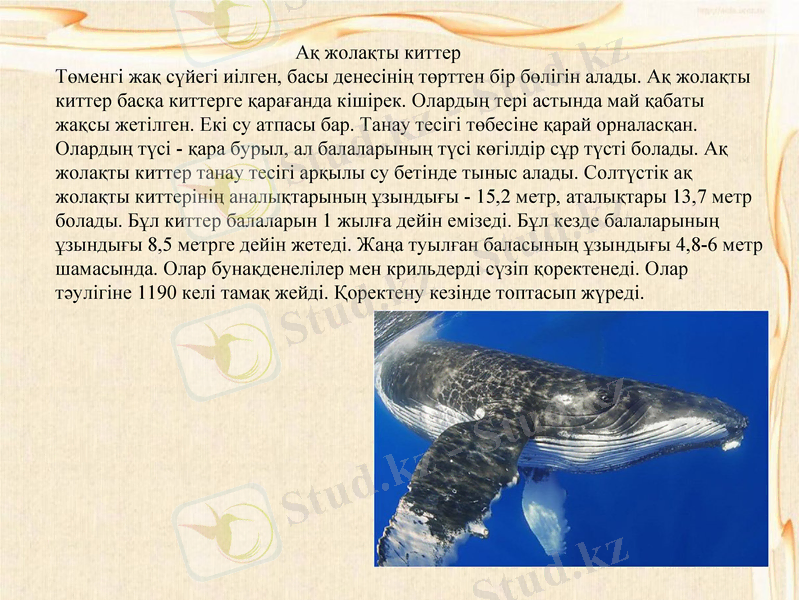 Slide 9