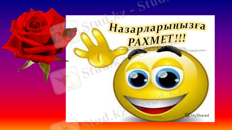 Slide 11