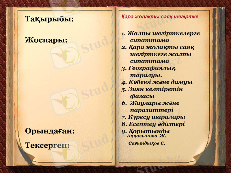 Slide 2