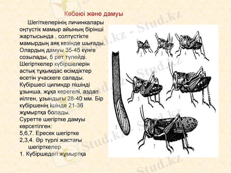 Slide 6