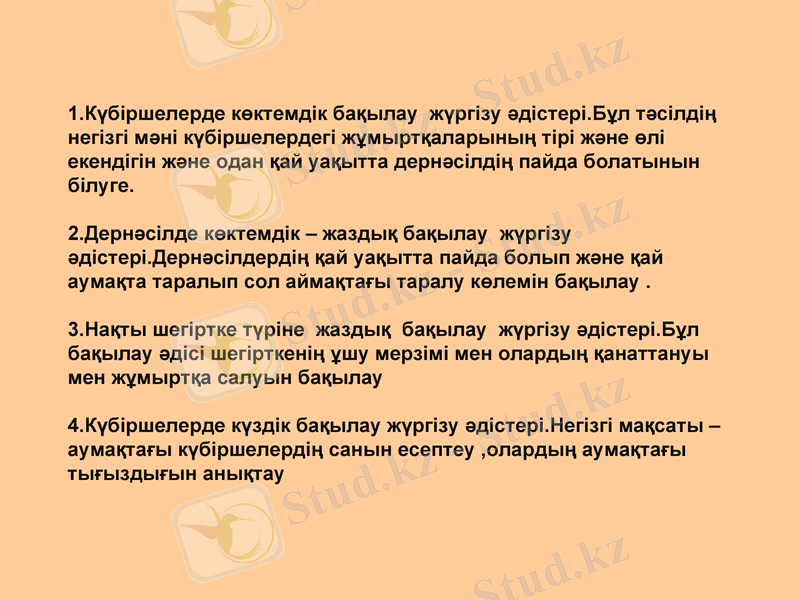 Slide 9