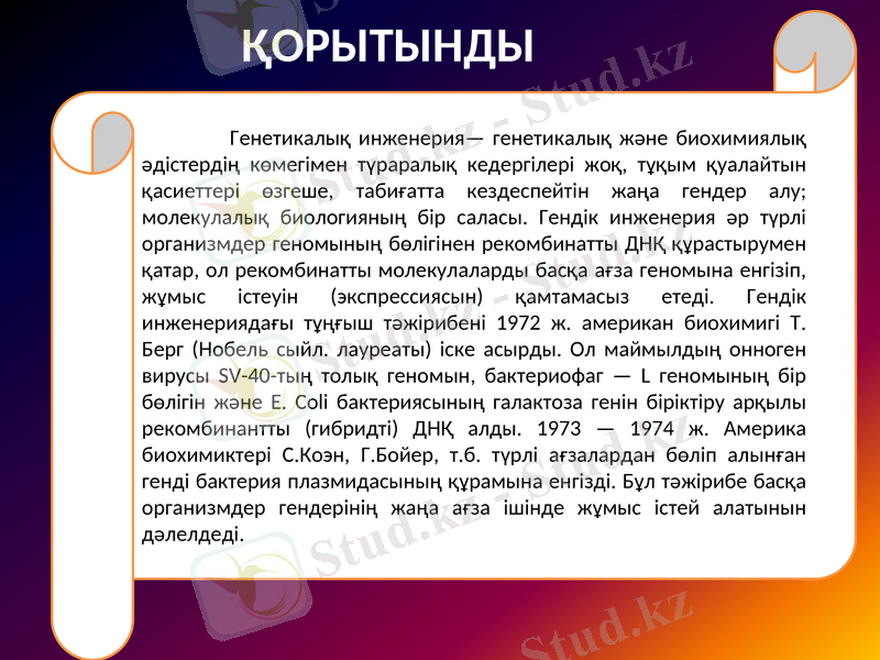 Slide 11