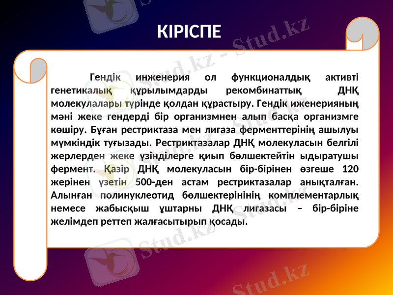 Slide 3