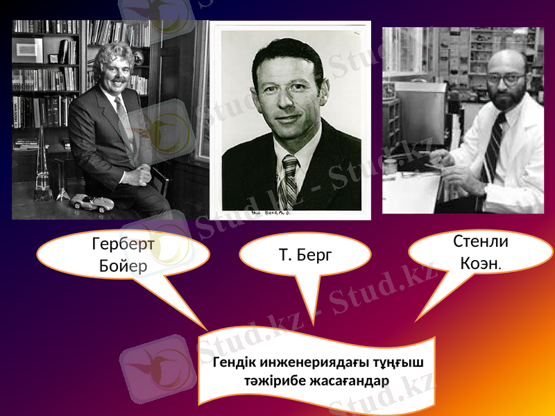 Slide 6
