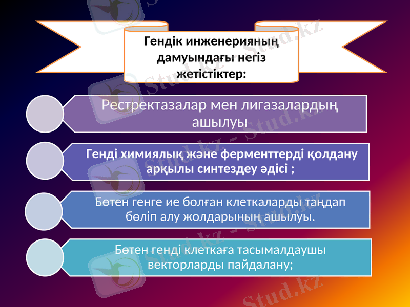Slide 7
