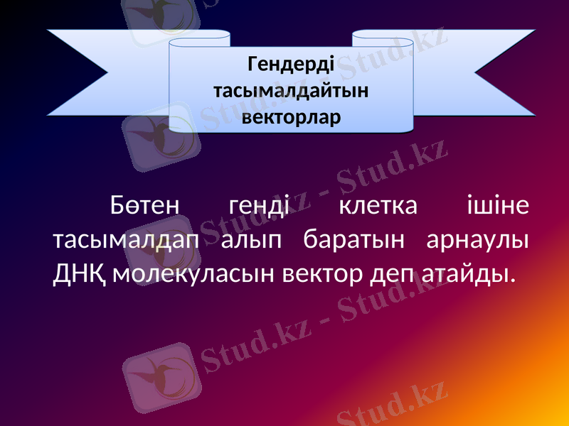 Slide 8