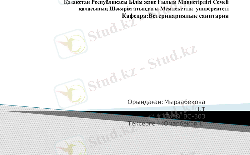 Slide 1