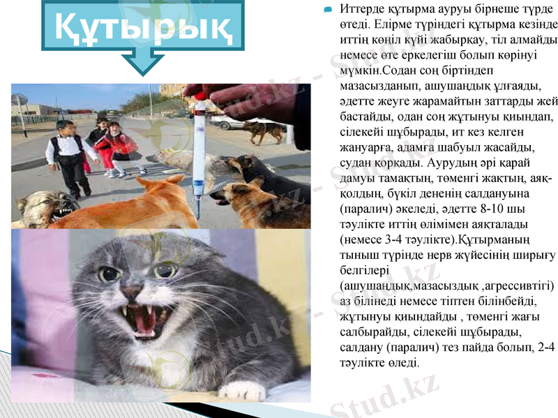 Slide 10