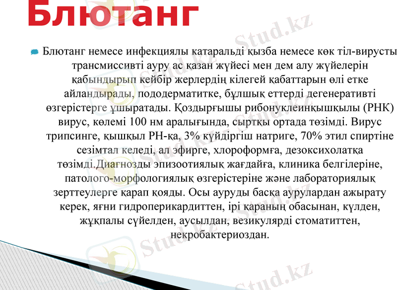 Slide 16