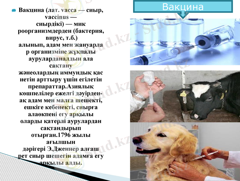 Slide 6