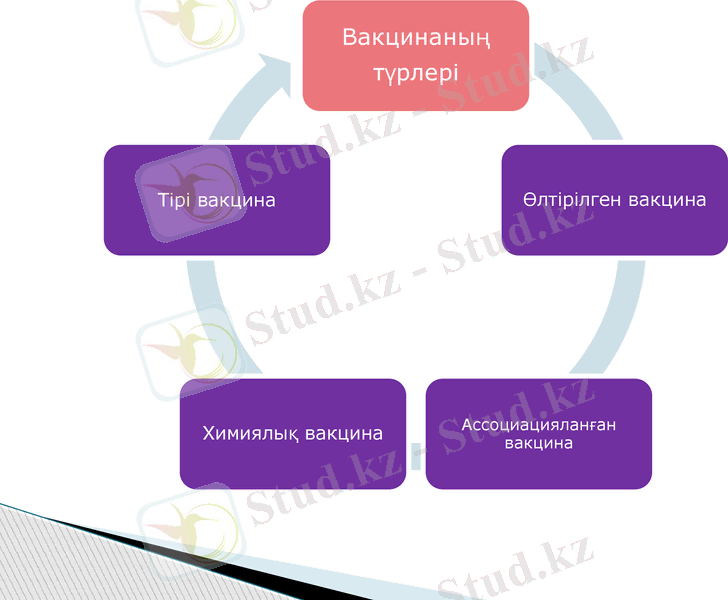 Slide 7