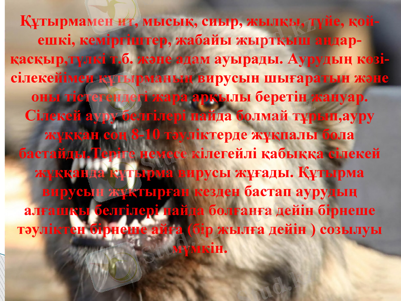 Slide 9