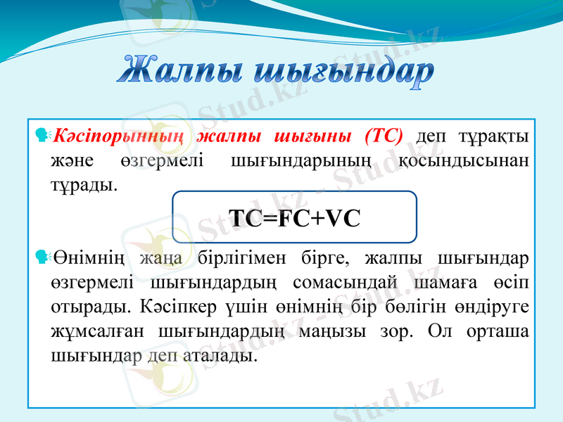 Slide 13