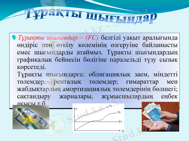 Slide 9