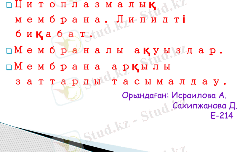 Slide 1