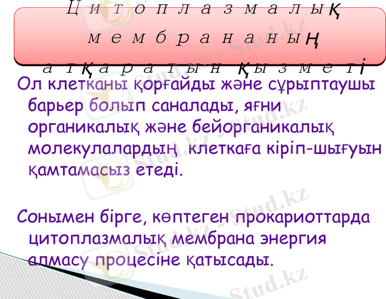Slide 11