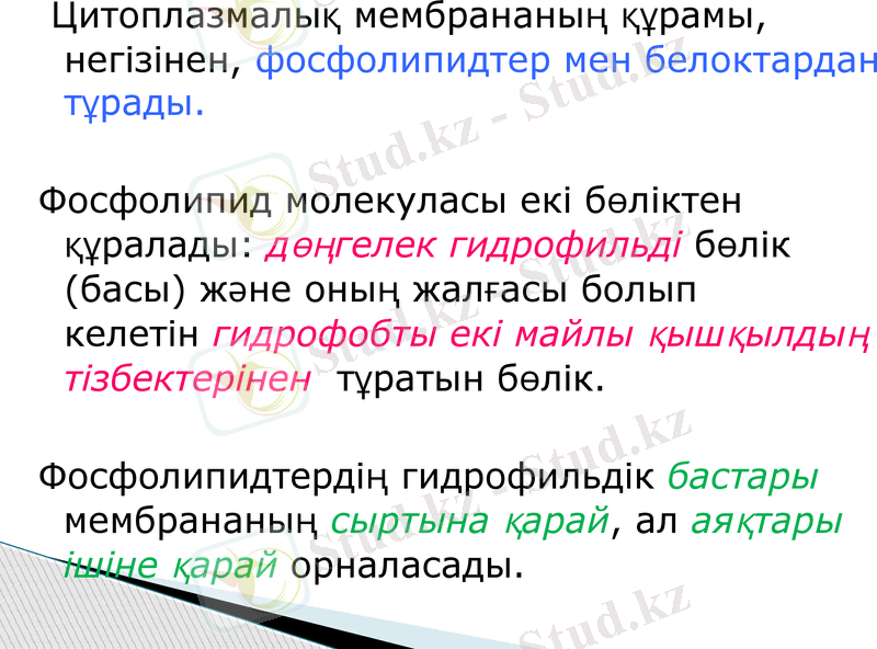 Slide 12