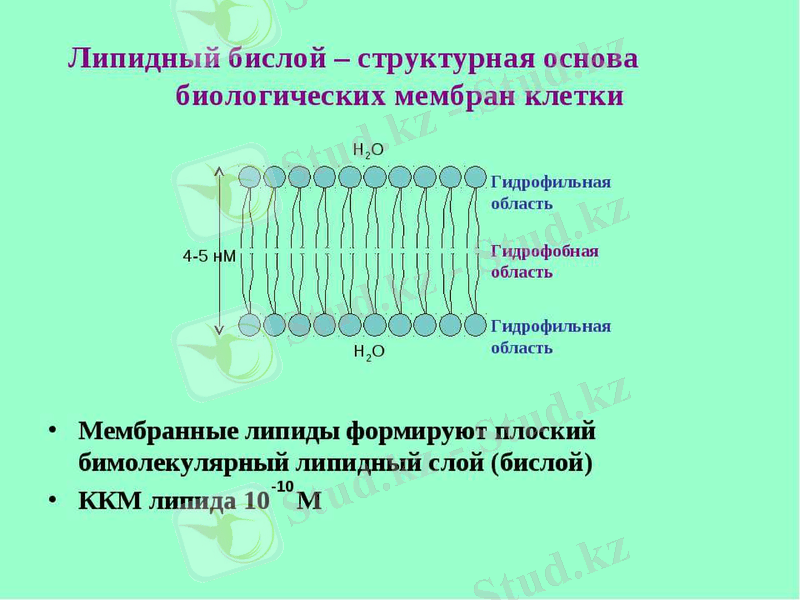 Slide 14