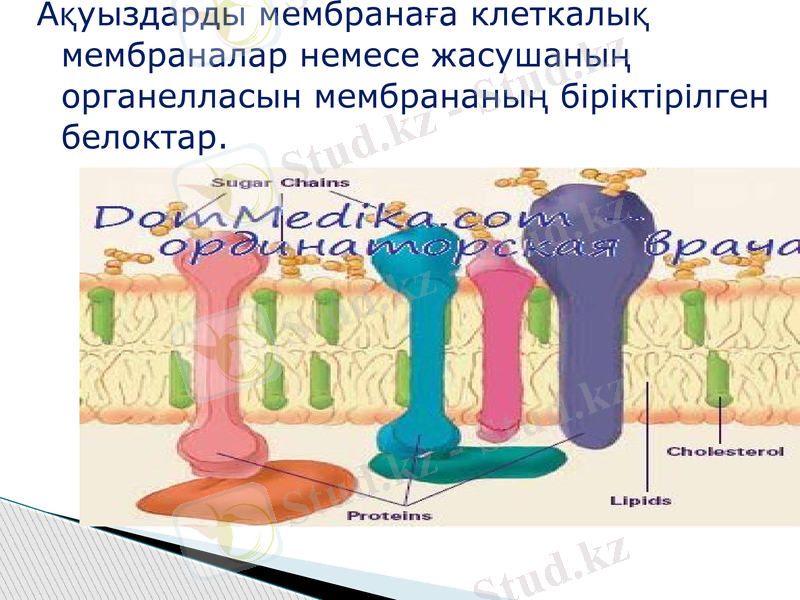 Slide 15