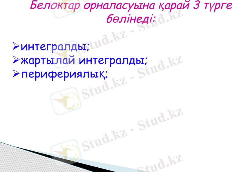 Slide 16