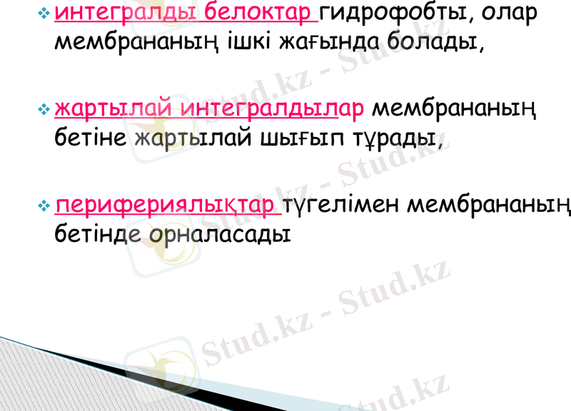 Slide 17