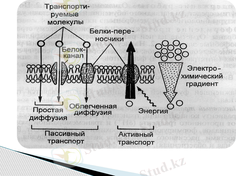 Slide 21