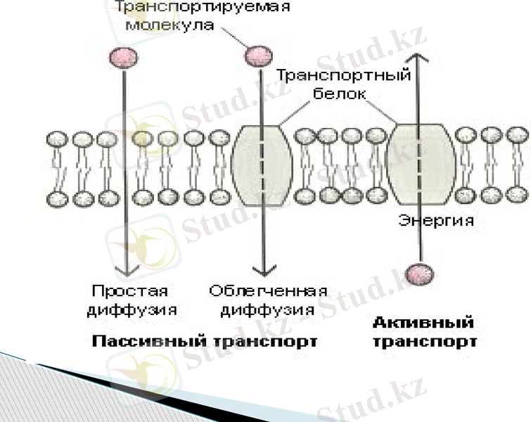Slide 23