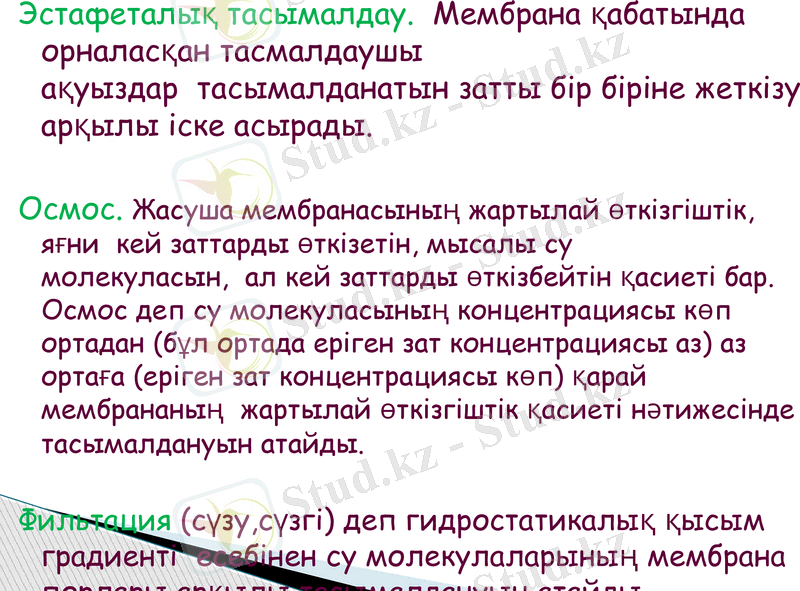 Slide 24