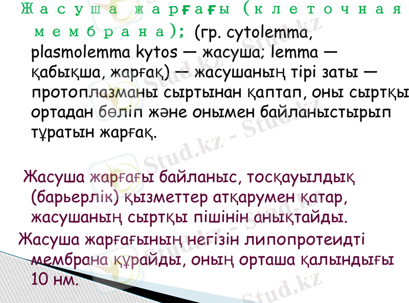 Slide 6