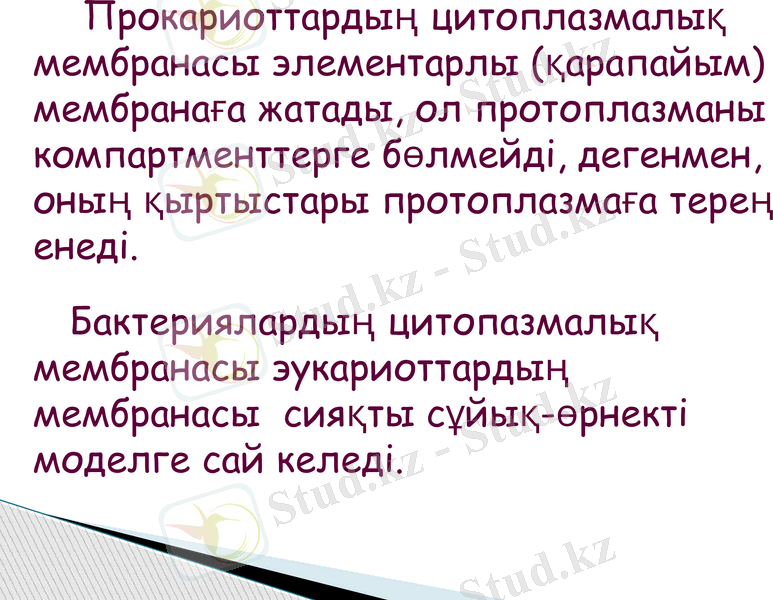 Slide 8