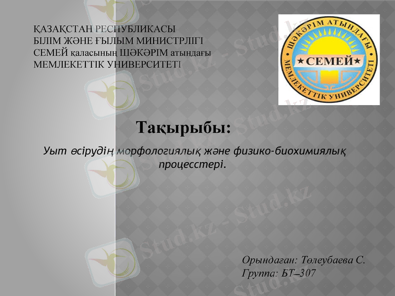 Slide 1