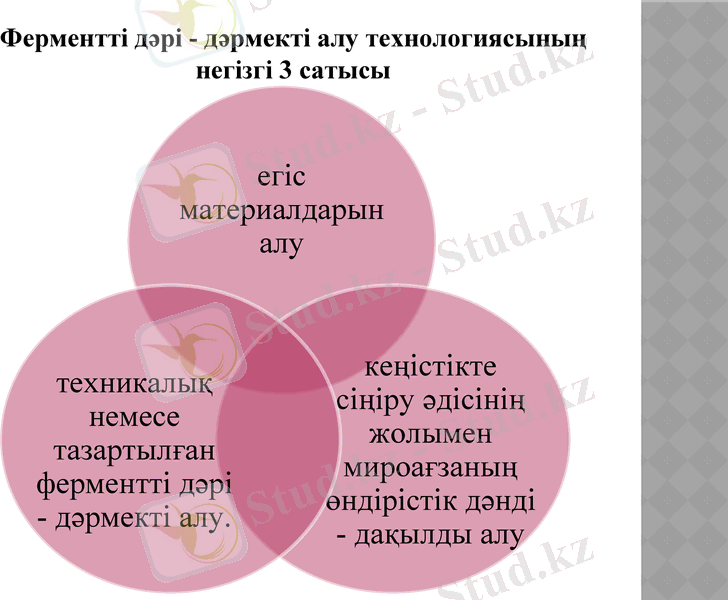 Slide 10