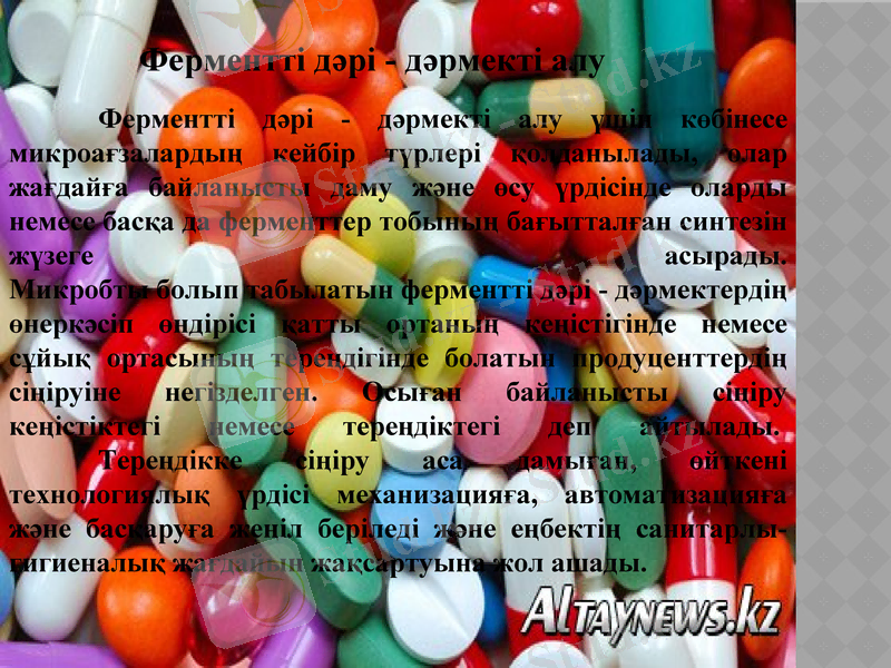 Slide 7
