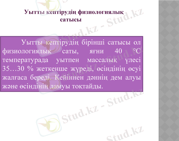 Slide 8