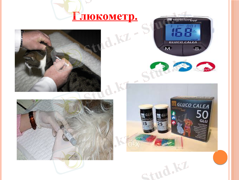 Slide 6