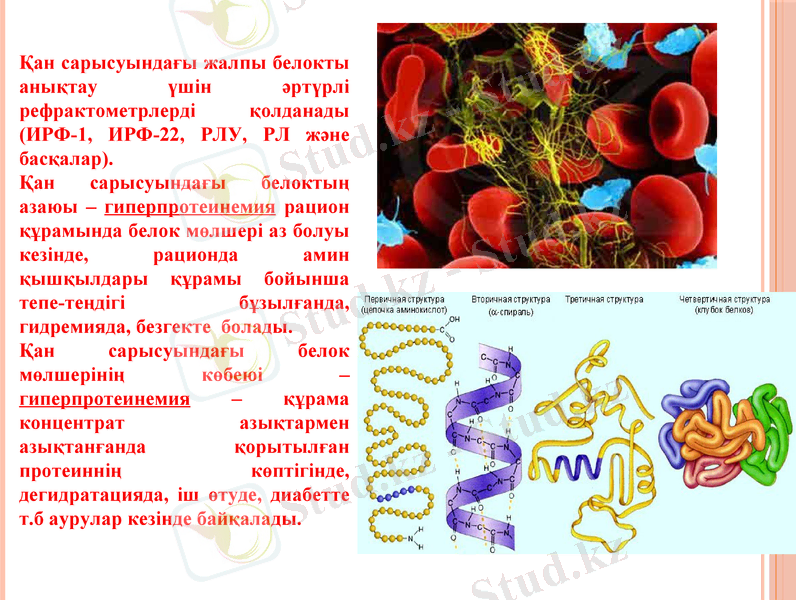 Slide 7