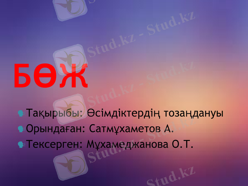 Slide 1