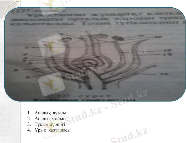 Slide 7
