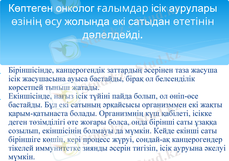 Slide 10