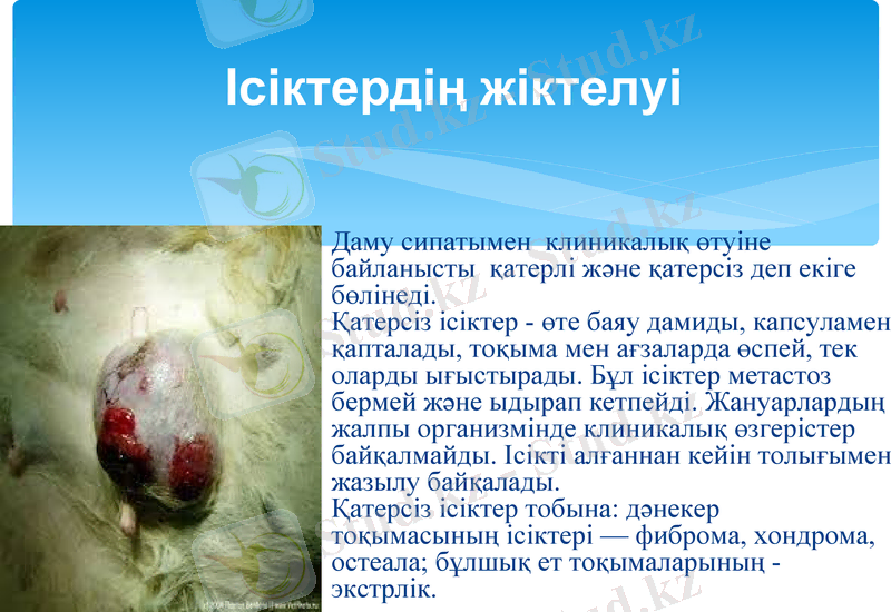 Slide 11