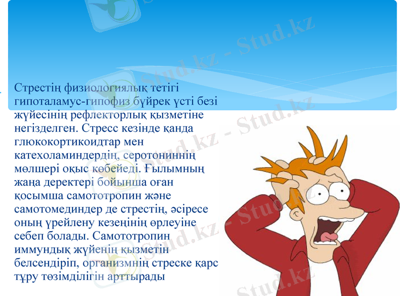 Slide 7
