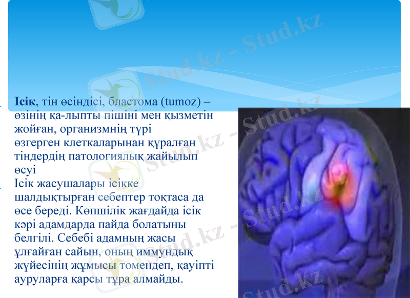 Slide 9