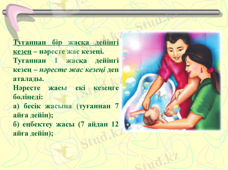 Slide 7