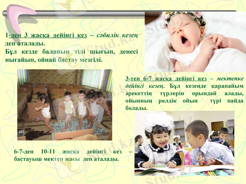 Slide 8