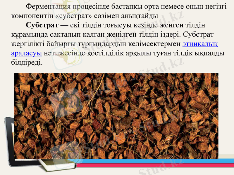 Slide 5
