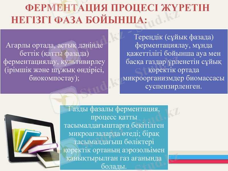Slide 6