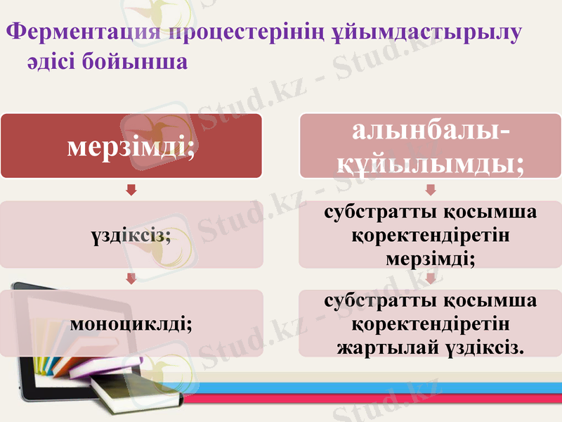 Slide 8